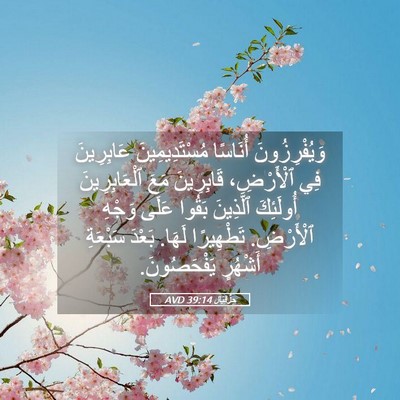 Picture 05 - حِزْقِيَال 39:14 AVD - وَيُفْرِزُونَ أُنَاسًا - Bible Verse Picture