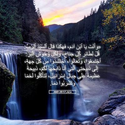 Picture 05 - حِزْقِيَال 39:17 AVD - «وَأَنْتَ يَا ٱبْنَ آدَمَ، - Bible Verse Picture