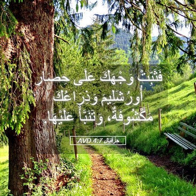 Picture 05 - حِزْقِيَال 4:7 AVD - فَثَبِّتْ وَجْهَكَ عَلَى - Bible Verse Picture