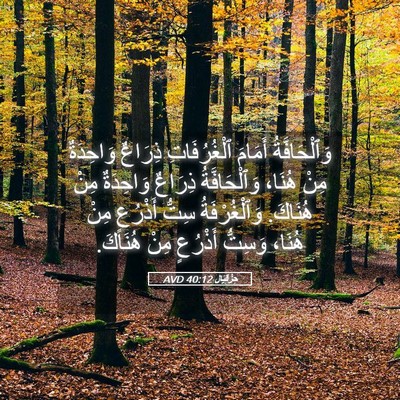 Picture 05 - حِزْقِيَال 40:12 AVD - وَٱلْحَافَّةُ أَمَامَ - Bible Verse Picture