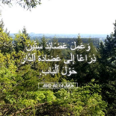 Picture 05 - حِزْقِيَال 40:14 AVD - وَعَمِلَ عَضَائِدَ - Bible Verse Picture