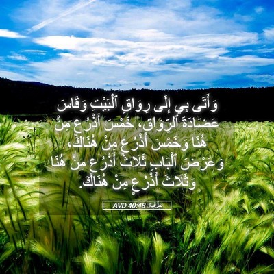 Picture 05 - حِزْقِيَال 40:48 AVD - وَأَتَى بِي إِلَى رِوَاقِ - Bible Verse Picture