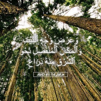 Picture 05 - حِزْقِيَال 41:14 AVD - وَعَرْضَ وَجْهِ ٱلْبَيْتِ - Bible Verse Picture