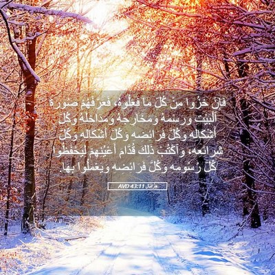 Picture 05 - حِزْقِيَال 43:11 AVD - فَإِنْ خَزُوا مِنْ كُلِّ - Bible Verse Picture