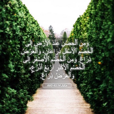 Picture 05 - حِزْقِيَال 43:14 AVD - وَمِنَ ٱلْحِضْنِ عِنْدَ - Bible Verse Picture