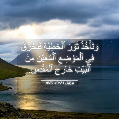 Picture 05 - حِزْقِيَال 43:21 AVD - وَتَأْخُذُ ثَوْرَ - Bible Verse Picture