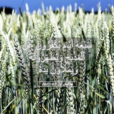 Picture 05 - حِزْقِيَال 43:26 AVD - سَبْعَةَ أَيَّامٍ - Bible Verse Picture