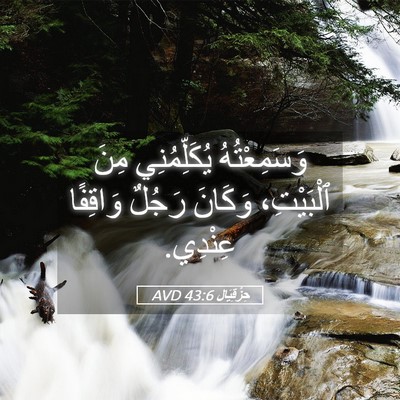Picture 05 - حِزْقِيَال 43:6 AVD - وَسَمِعْتُهُ يُكَلِّمُنِي - Bible Verse Picture
