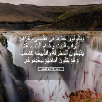 Picture 05 - حِزْقِيَال 44:11 AVD - وَيَكُونُونَ خُدَّامًا - Bible Verse Picture