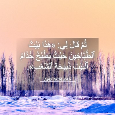 Picture 05 - حِزْقِيَال 46:24 AVD - ثُمَّ قَالَ لِي: «هَذَا - Bible Verse Picture