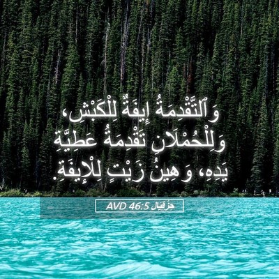 Picture 05 - حِزْقِيَال 46:5 AVD - وَٱلتَّقْدِمَةُ إِيفَةٌ - Bible Verse Picture