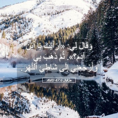 Picture 05 - حِزْقِيَال 47:6 AVD - وَقَالَ لِي: «أَرَأَيْتَ - Bible Verse Picture