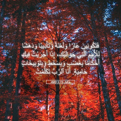 Picture 05 - حِزْقِيَال 5:15 AVD - فَتَكُونِينَ عَارًا - Bible Verse Picture