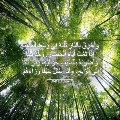 Picture 05 - حِزْقِيَال 5:2 AVD - وَأَحْرِقْ بِٱلنَّارِ - Bible Verse Picture