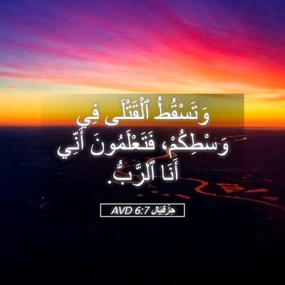 Picture 05 - حِزْقِيَال 6:7 AVD - وَتَسْقُطُ ٱلْقَتْلَى فِي - Bible Verse Picture