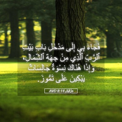 Picture 05 - حِزْقِيَال 8:14 AVD - فَجَاءَ بِي إِلَى مَدْخَلِ - Bible Verse Picture
