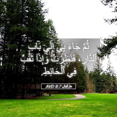 Picture 05 - حِزْقِيَال 8:7 AVD - ثُمَّ جَاءَ بِي إِلَى - Bible Verse Picture