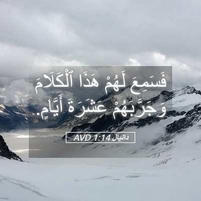 Picture 05 - دَانِيآل 1:14 AVD - فَسَمِعَ لَهُمْ هَذَا - Bible Verse Picture
