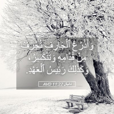Picture 05 - دَانِيآل 11:22 AVD - وَأَذْرُعُ ٱلْجَارِفِ - Bible Verse Picture