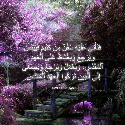 Picture 05 - دَانِيآل 11:30 AVD - فَتَأْتِي عَلَيْهِ سُفُنٌ - Bible Verse Picture