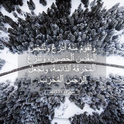 Picture 05 - دَانِيآل 11:31 AVD - وَتَقُومُ مِنْهُ أَذْرُعٌ - Bible Verse Picture