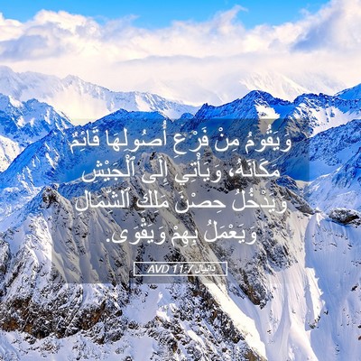 Picture 05 - دَانِيآل 11:7 AVD - وَيَقُومُ مِنْ فَرْعِ - Bible Verse Picture