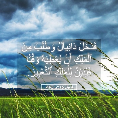 Picture 05 - دَانِيآل 2:16 AVD - فَدَخَلَ دَانِيآلُ - Bible Verse Picture