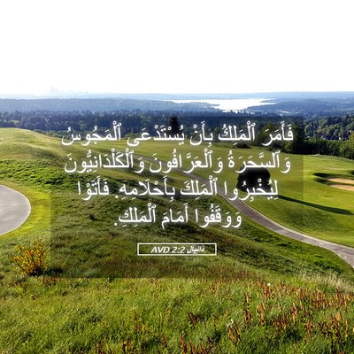 Picture 05 - دَانِيآل 2:2 AVD - فَأَمَرَ ٱلْمَلِكُ بِأَنْ - Bible Verse Picture