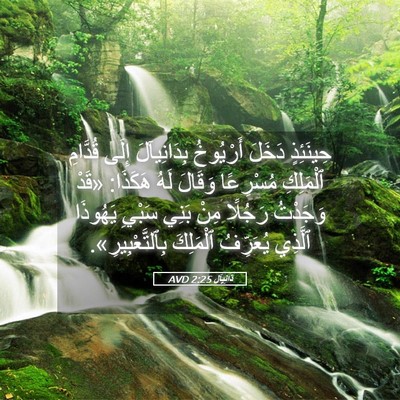 Picture 05 - دَانِيآل 2:25 AVD - حِينَئِذٍ دَخَلَ - Bible Verse Picture