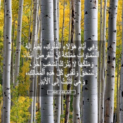 Picture 05 - دَانِيآل 2:44 AVD - وَفِي أَيَّامِ هَؤُلَاءِ - Bible Verse Picture