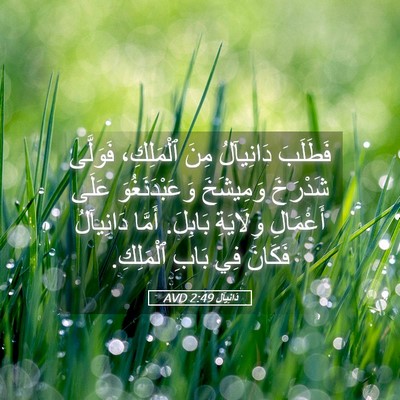 Picture 05 - دَانِيآل 2:49 AVD - فَطَلَبَ دَانِيآلُ مِنَ - Bible Verse Picture