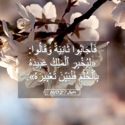 Picture 05 - دَانِيآل 2:7 AVD - فَأَجَابُوا ثَانِيَةً - Bible Verse Picture