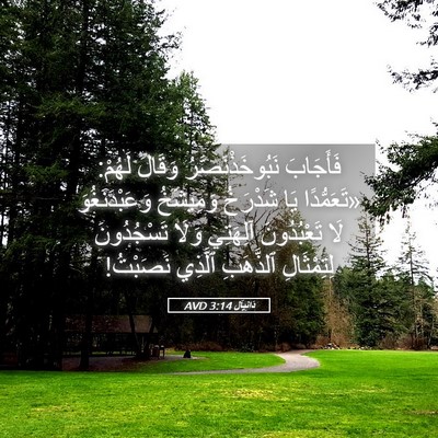 Picture 05 - دَانِيآل 3:14 AVD - فَأَجَابَ - Bible Verse Picture