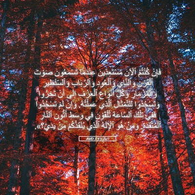 Picture 05 - دَانِيآل 3:15 AVD - فَإِنْ كُنْتُمُ ٱلْآنَ - Bible Verse Picture