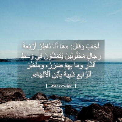 Picture 05 - دَانِيآل 3:25 AVD - أَجَابَ وَقَالَ: «هَا - Bible Verse Picture