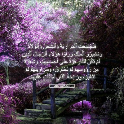 Picture 05 - دَانِيآل 3:27 AVD - فَٱجْتَمَعَتِ - Bible Verse Picture