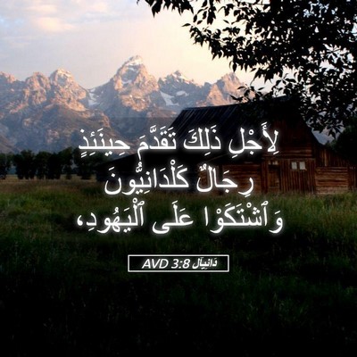 Picture 05 - دَانِيآل 3:8 AVD - لِأَجْلِ ذَلِكَ تَقَدَّمَ - Bible Verse Picture