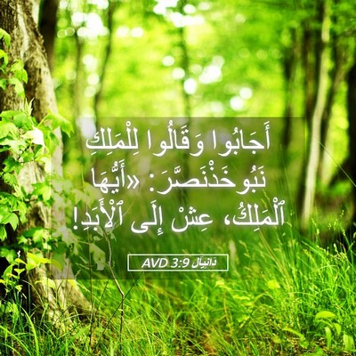 Picture 05 - دَانِيآل 3:9 AVD - أَجَابُوا وَقَالُوا - Bible Verse Picture