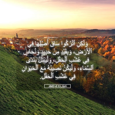 Picture 05 - دَانِيآل 4:15 AVD - وَلَكِنِ ٱتْرُكُوا سَاقَ - Bible Verse Picture
