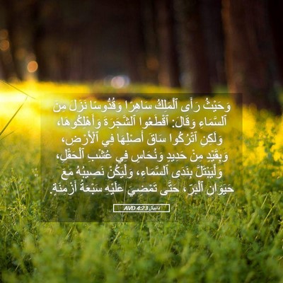 Picture 05 - دَانِيآل 4:23 AVD - وَحَيْثُ رَأَى ٱلْمَلِكُ - Bible Verse Picture