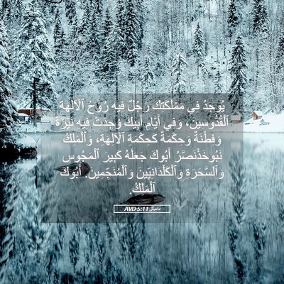 Picture 05 - دَانِيآل 5:11 AVD - يُوجَدُ فِي مَمْلَكَتِكَ - Bible Verse Picture