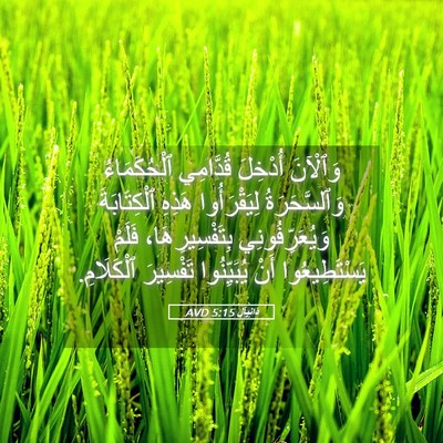Picture 05 - دَانِيآل 5:15 AVD - وَٱلْآنَ أُدْخِلَ - Bible Verse Picture