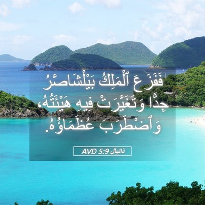 Picture 05 - دَانِيآل 5:9 AVD - فَفَزَعَ ٱلْمَلِكُ - Bible Verse Picture