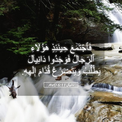 Picture 05 - دَانِيآل 6:11 AVD - فَٱجْتَمَعَ حِينَئِذٍ - Bible Verse Picture