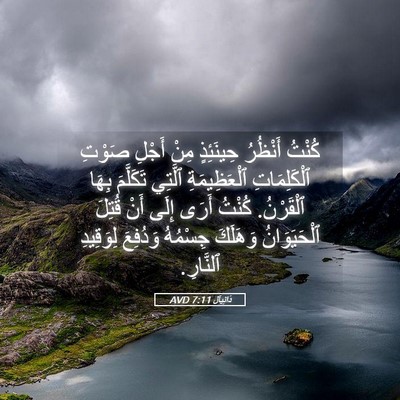 Picture 05 - دَانِيآل 7:11 AVD - كُنْتُ أَنْظُرُ حِينَئِذٍ - Bible Verse Picture