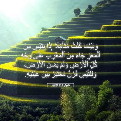 Picture 05 - دَانِيآل 8:5 AVD - وَبَيْنَمَا كُنْتُ - Bible Verse Picture