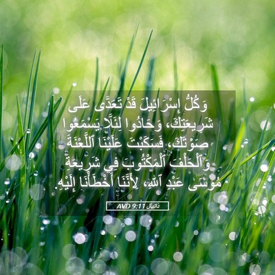 Picture 05 - دَانِيآل 9:11 AVD - وَكُلُّ إِسْرَائِيلَ قَدْ - Bible Verse Picture