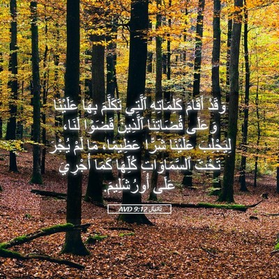 Picture 05 - دَانِيآل 9:12 AVD - وَقَدْ أَقَامَ - Bible Verse Picture