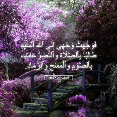 Picture 05 - دَانِيآل 9:3 AVD - فَوَجَّهْتُ وَجْهِي إِلَى - Bible Verse Picture