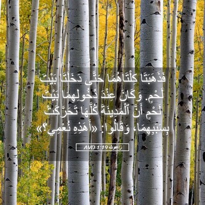Picture 05 - رَاعُوث 1:19 AVD - فَذَهَبَتَا كِلْتَاهُمَا - Bible Verse Picture